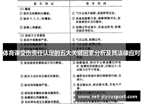 体育课受伤责任认定的五大关键因素分析及其法律应对